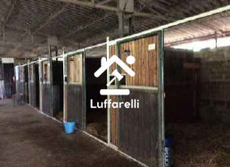 Immagine di AZIENDA AGRICOLA VIA LAGO DI MARTIGNANO – ROMA