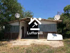 Immagine di AZIENDA AGRICOLA VIA LAGO DI MARTIGNANO – ROMA