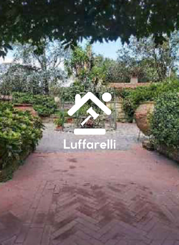 Immagine di AZIENDA AGRICOLA VIA DELLA MARMOTTA – ANGUILLARA SABAZIA (RM)