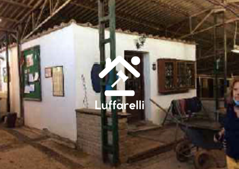 Immagine di AZIENDA AGRICOLA VIA DELLA MARMOTTA – ANGUILLARA SABAZIA (RM)