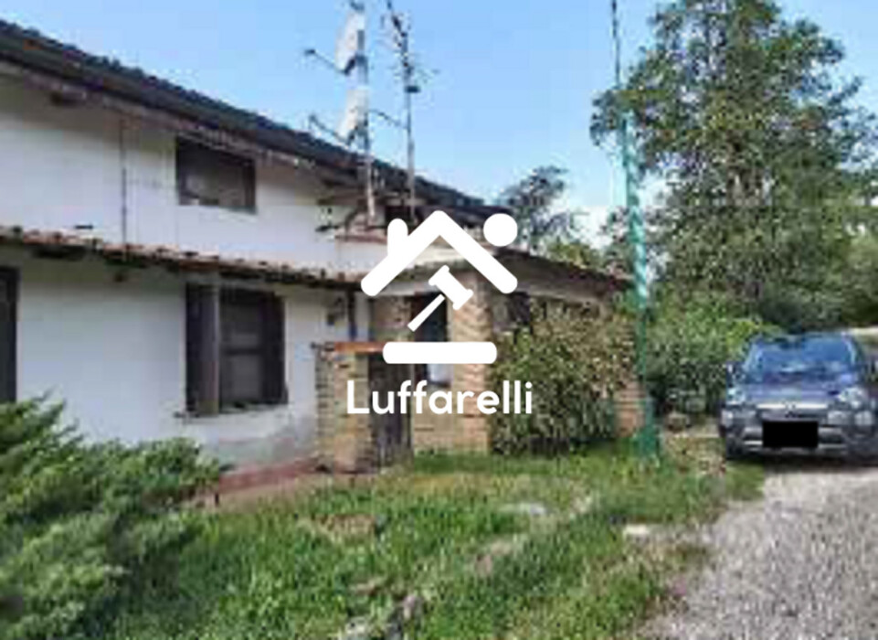 Immagine di AZIENDA AGRICOLA VIA DELLA MARMOTTA – ANGUILLARA SABAZIA (RM)