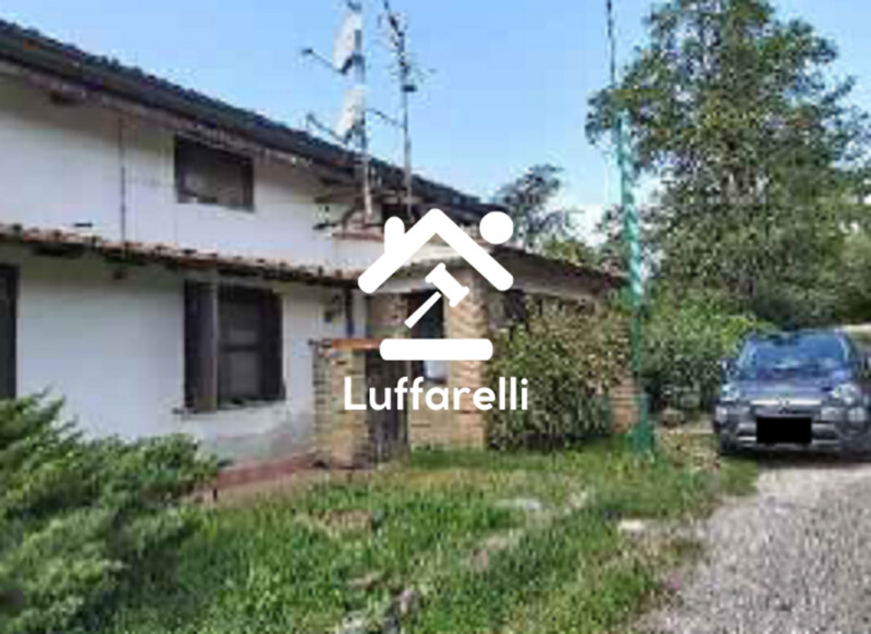 Immagine di AZIENDA AGRICOLA VIA DELLA MARMOTTA – ANGUILLARA SABAZIA (RM)