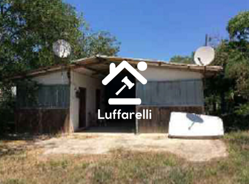 Immagine di AZIENDA AGRICOLA VIA DELLA MARMOTTA – ANGUILLARA SABAZIA (RM)