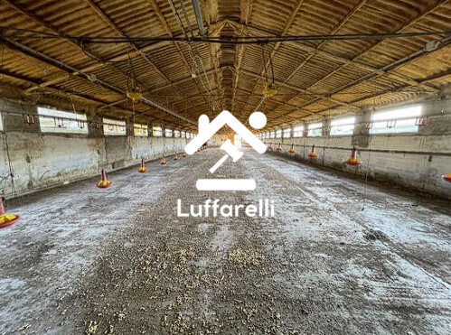 Immagine di FABBRICATO RURALE VIA ALBERTO PAVESI – SAN GIORGIO DI LOMELLINA (PV)