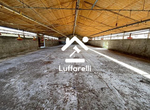 Immagine di FABBRICATO RURALE VIA ALBERTO PAVESI – SAN GIORGIO DI LOMELLINA (PV)