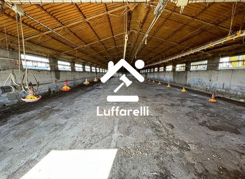Immagine di FABBRICATO RURALE VIA ALBERTO PAVESI – SAN GIORGIO DI LOMELLINA (PV)