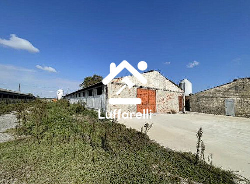 Immagine di FABBRICATO RURALE VIA ALBERTO PAVESI – SAN GIORGIO DI LOMELLINA (PV)