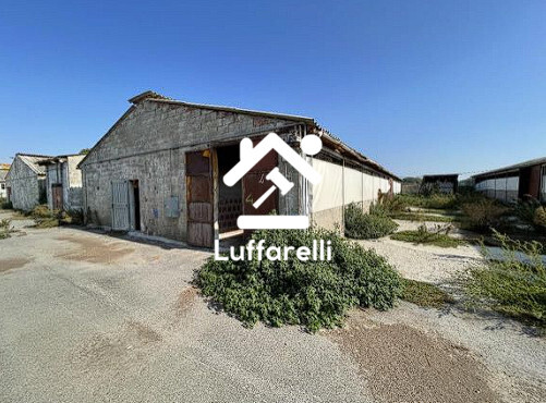 Immagine di FABBRICATO RURALE VIA ALBERTO PAVESI – SAN GIORGIO DI LOMELLINA (PV)