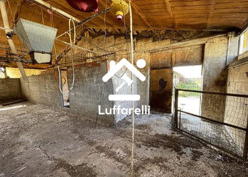 Immagine di FABBRICATO RURALE VIA ALBERTO PAVESI – SAN GIORGIO DI LOMELLINA (PV)