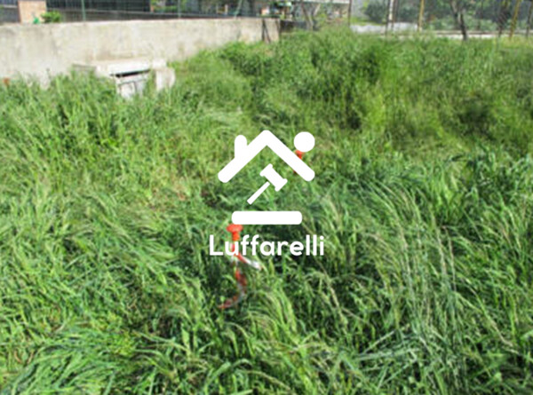 TERRENO VIA - GUARDAMIGLIO — foto 6