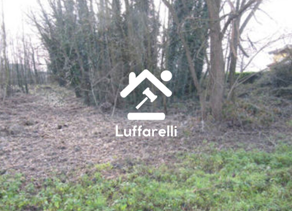 TERRENO VIA - GUARDAMIGLIO — foto 4