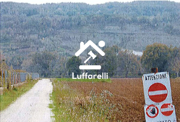 TERRENO LOCALITA' CASALE MARCHESE - ORTE (VT) — foto 5
