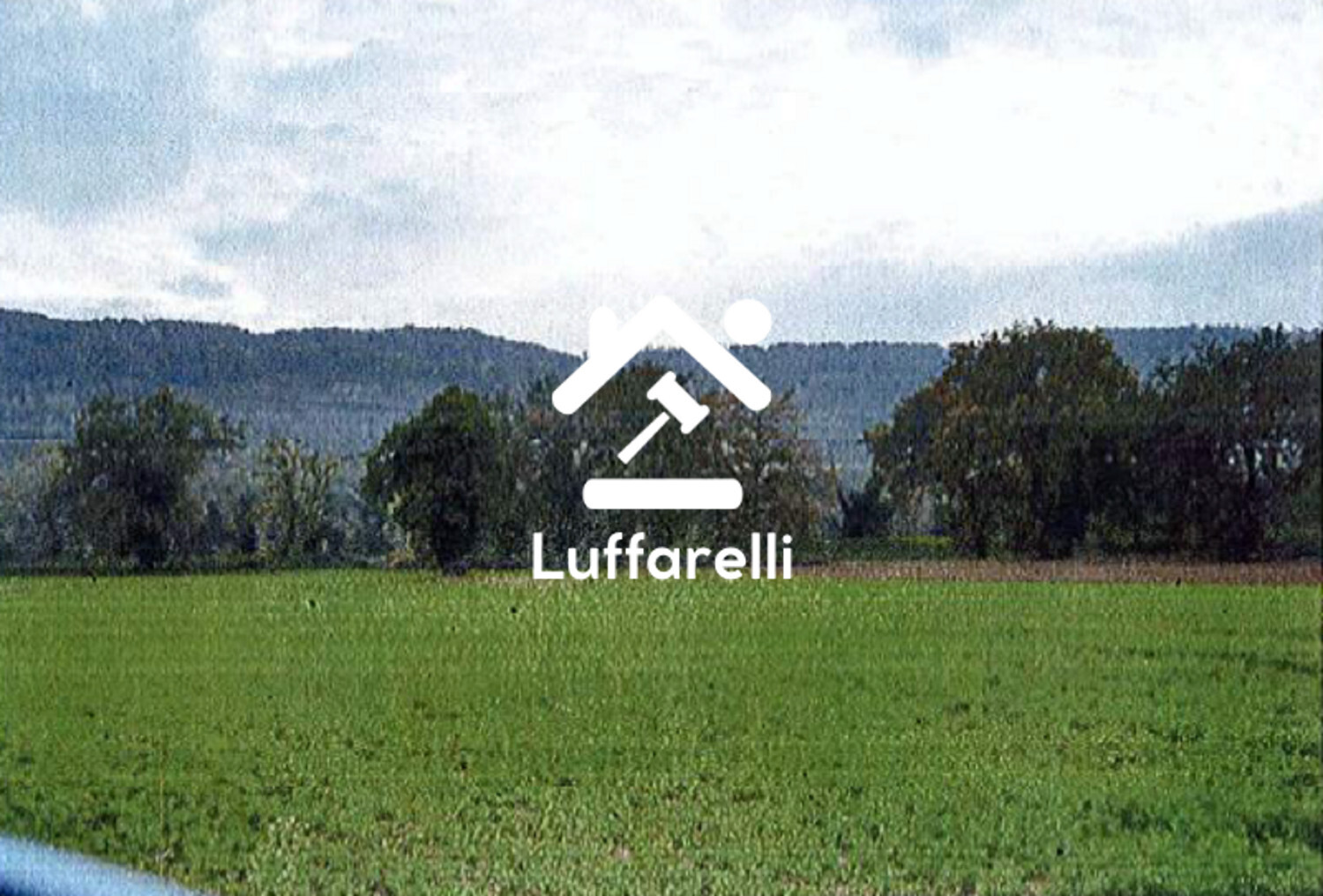 TERRENO LOCALITA' CASALE MARCHESE - ORTE (VT) — foto 4