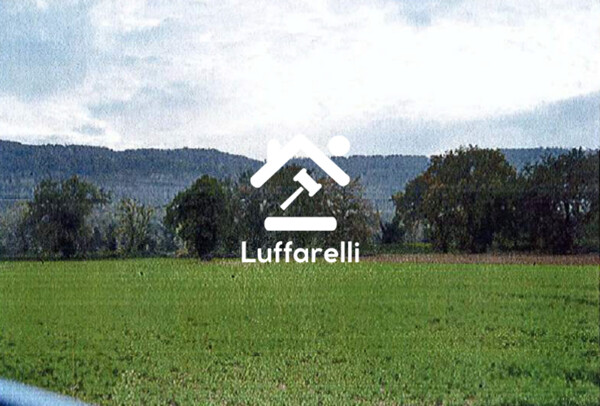 TERRENO LOCALITA' CASALE MARCHESE - ORTE (VT) — foto 4