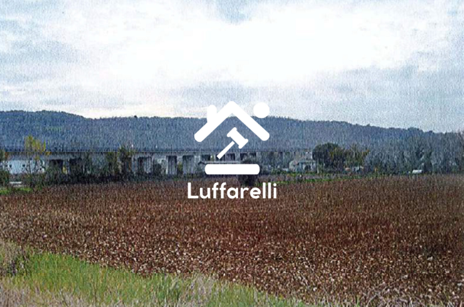 TERRENO LOCALITA' CASALE MARCHESE - ORTE (VT) — foto 2
