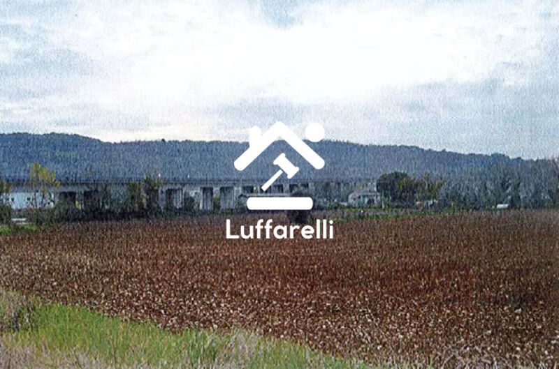 Immagine di TERRENO LOCALITA’ CASALE MARCHESE – ORTE (VT)