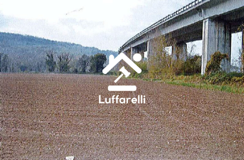 Immagine di TERRENO LOCALITA’ CASALE MARCHESE – ORTE (VT)