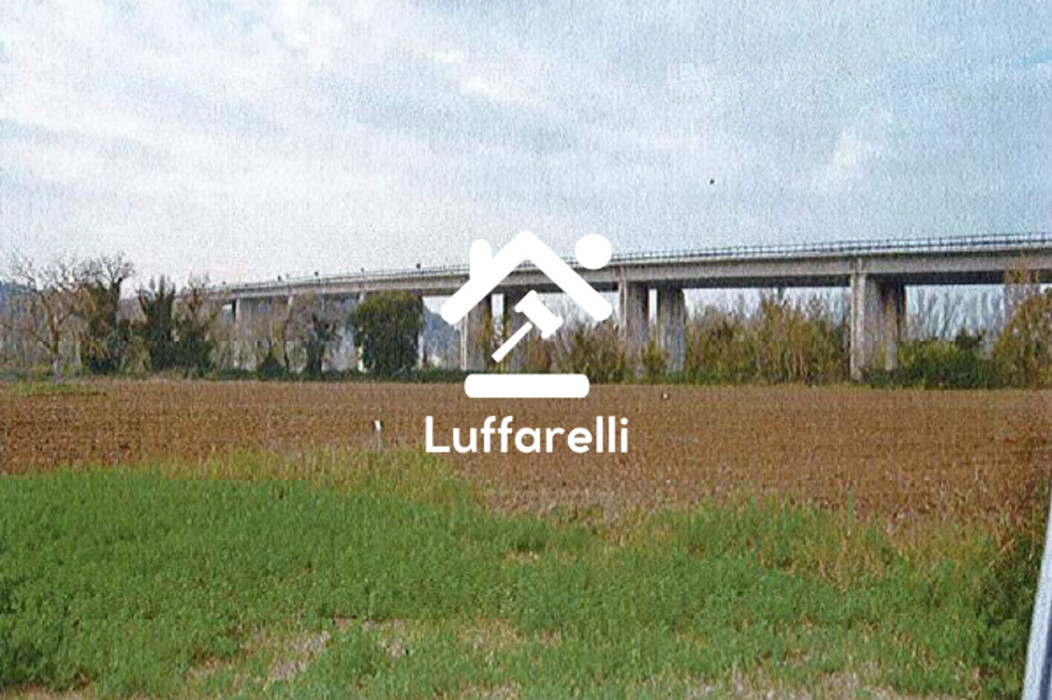 Immagine di TERRENO LOCALITA’ CASALE MARCHESE – ORTE (VT)