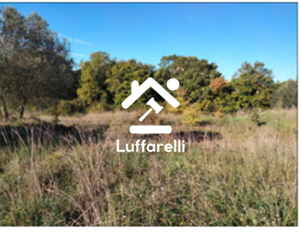 TERRENI VIA DELLA SCALETTA SNC - BRACCIANO (RM) — foto 8