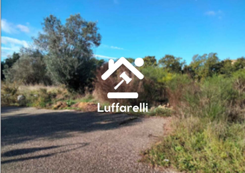 Immagine di TERRENI VIA DELLA SCALETTA SNC – BRACCIANO (RM)