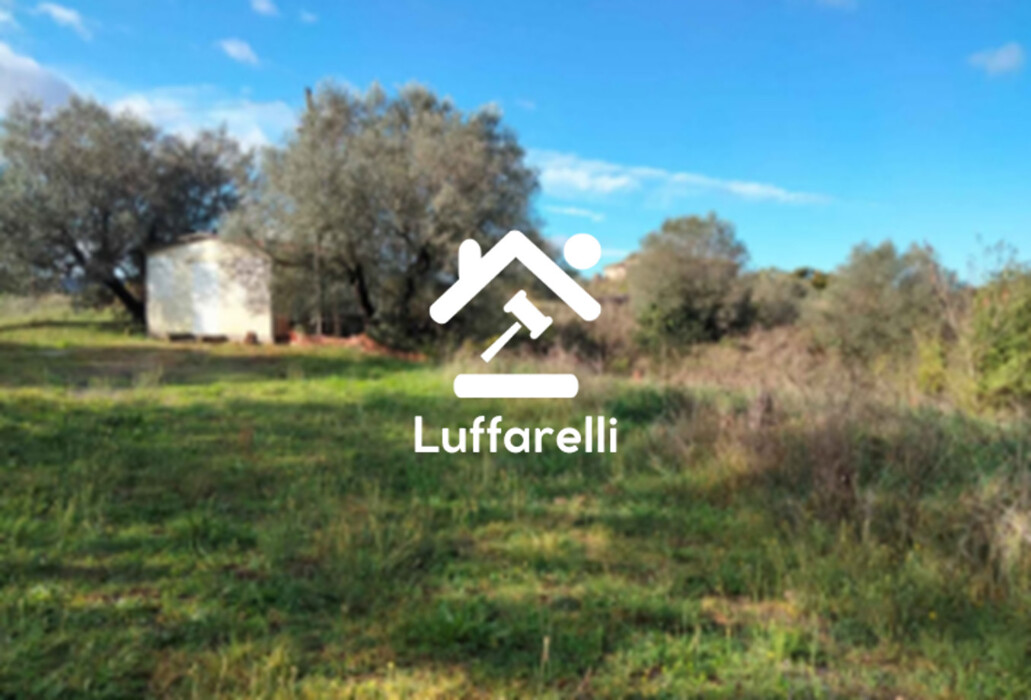 Immagine di TERRENI VIA DELLA SCALETTA SNC – BRACCIANO (RM)