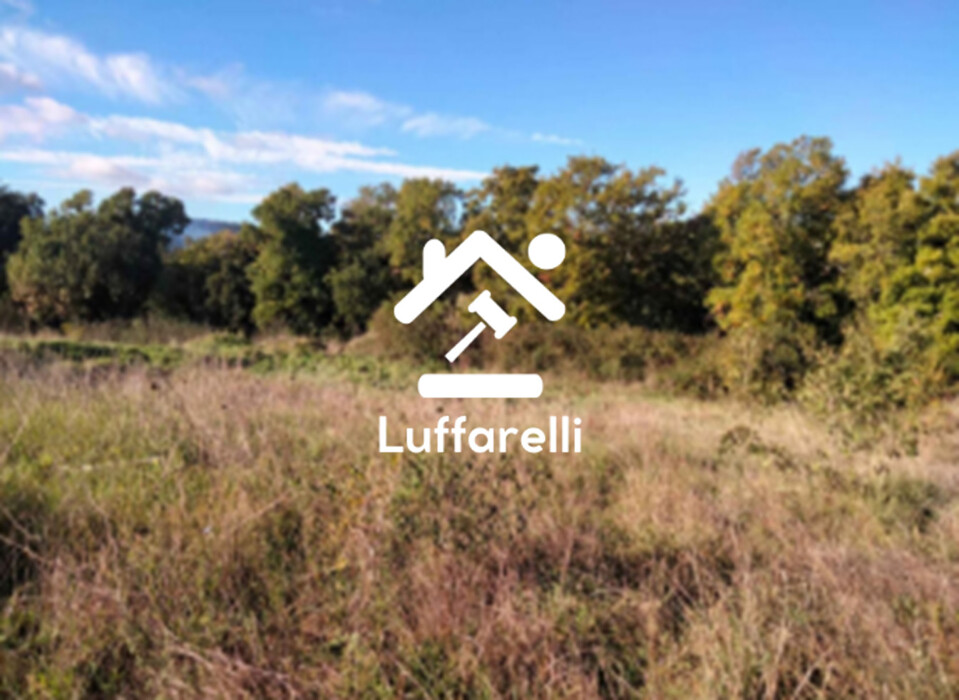 Immagine di TERRENI VIA DELLA SCALETTA SNC – BRACCIANO (RM)