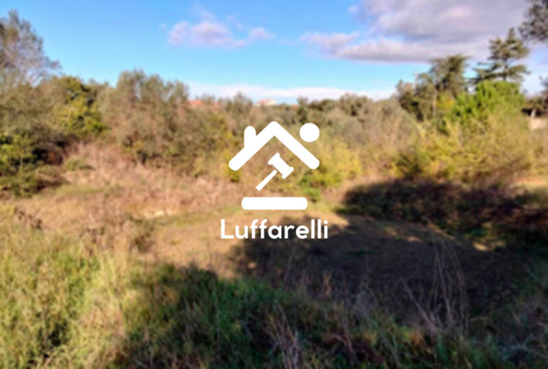 Immagine di TERRENI VIA DELLA SCALETTA SNC – BRACCIANO (RM)