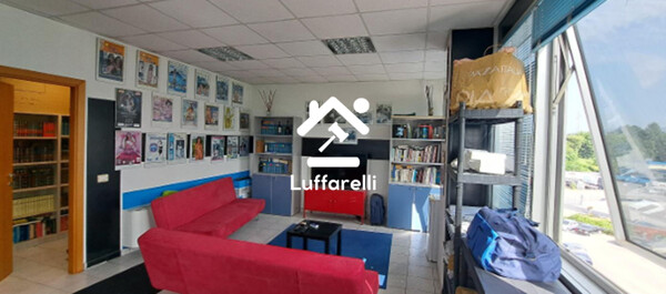 NEGOZIO O LOCALE COMMERCIALE STRADA MOROLENSE S.N.C. - FROSINONE — foto 5