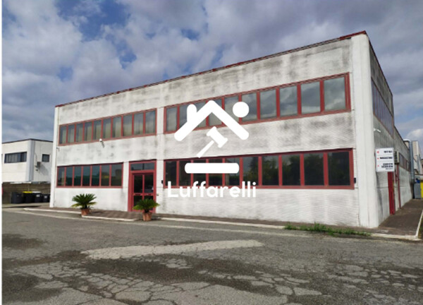 CAPANNONE / IMMOBILI INDUSTRIALI VIA CATANIA - ALBANO LAZIALE — foto 2