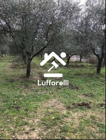 Immagine di VILLINO VIA MIRTENSE – POGGIO NATIVO (RI)