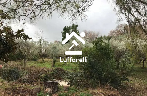 Immagine di VILLINO VIA MIRTENSE – POGGIO NATIVO (RI)