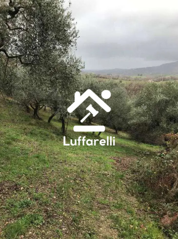 Immagine di VILLINO VIA MIRTENSE – POGGIO NATIVO (RI)