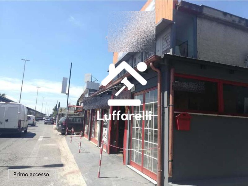 Immagine di FABBRICATO E TERRENI VIA CIRCONVALLAZIONE ORIENTARE – ROMA