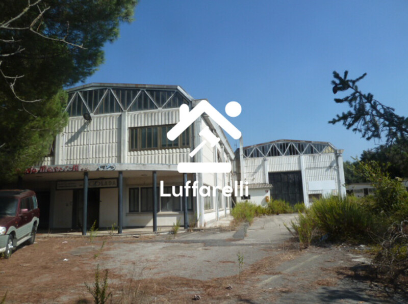 Immagine di TERRENO QUALITA’ VIGNETO – APRILIA (LT)