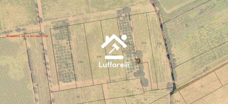 Immagine di APPEZZAMENTI DI TERRENO LOCALITÀ MARMORELLE – ROMA