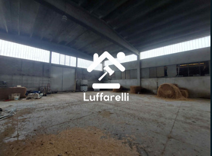 Immagine di TERRENI VIA MORENGO – PAGAZZANO (BG)