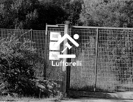 CAPANNONE / IMMOBILI INDUSTRIALI VIA COREA - OLBIA — foto 3