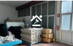 NEGOZIO O LOCALE COMMERCIALE VIA ELPIDIENSE SUD - MONTEGRANARO — foto 6