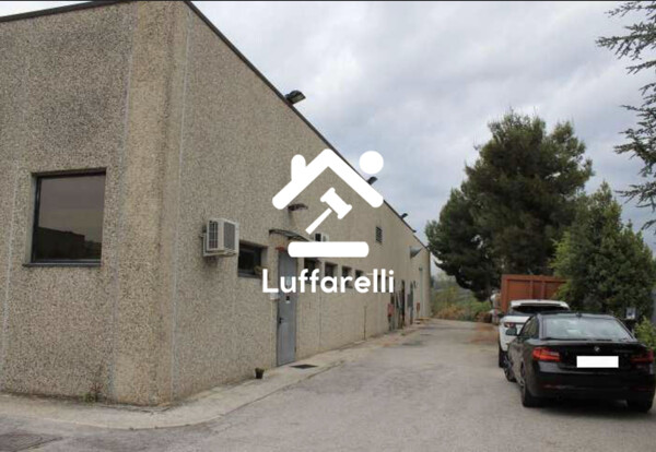 OPIFICIO INDUSTRIALE VIA ALPI - MONTEGRANARO (FM) — foto 5