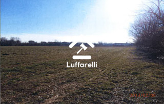 Immagine di TERRENO VIA BASSE – TEZZE SUL BRENTA