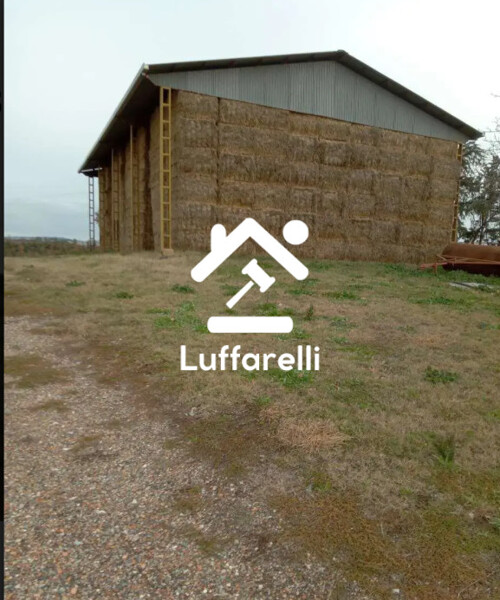 COMPENDIO IMMOBILIARE VIA FALCONE E BORSELLINO - VITERBO — foto 5