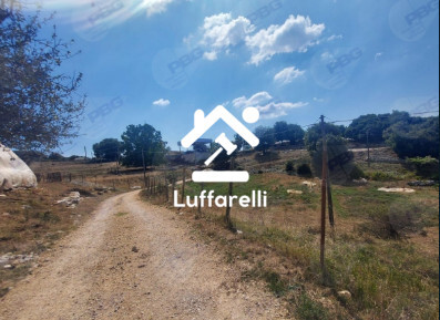 TERRENO VIA MONTE ROMANO - SONNINO — foto 3
