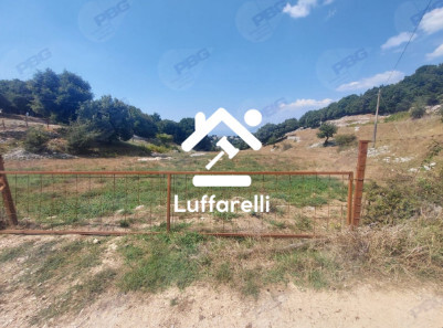 TERRENO VIA MONTE ROMANO - SONNINO — foto 2