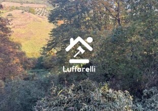 Immagine di FABBRICATI E TERRENI LOCALITÀ MURELLA PICCOLO – SANT’ORESTE (RM)