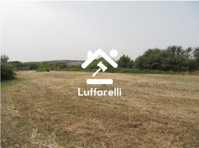 Immagine di TERRENI VIA AURELIA – SANTA MARINELLA (RM)