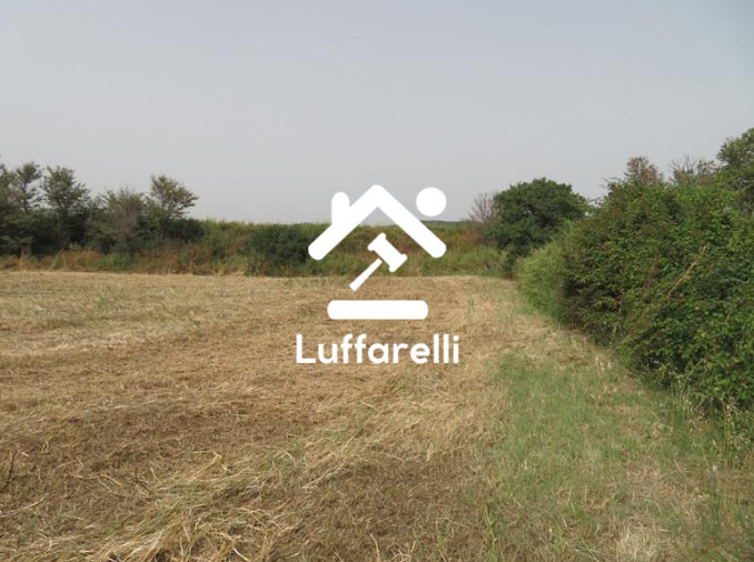 Immagine di TERRENI VIA AURELIA – SANTA MARINELLA (RM)