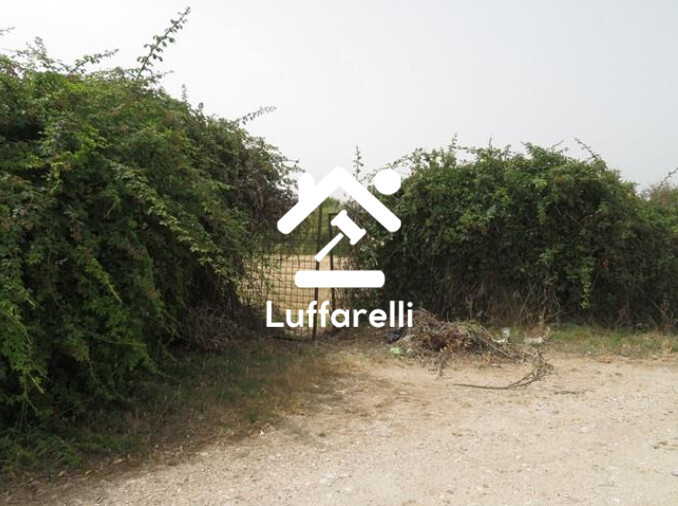 Immagine di TERRENI VIA AURELIA – SANTA MARINELLA (RM)