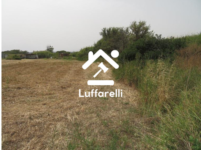 Immagine di TERRENI VIA AURELIA – SANTA MARINELLA (RM)