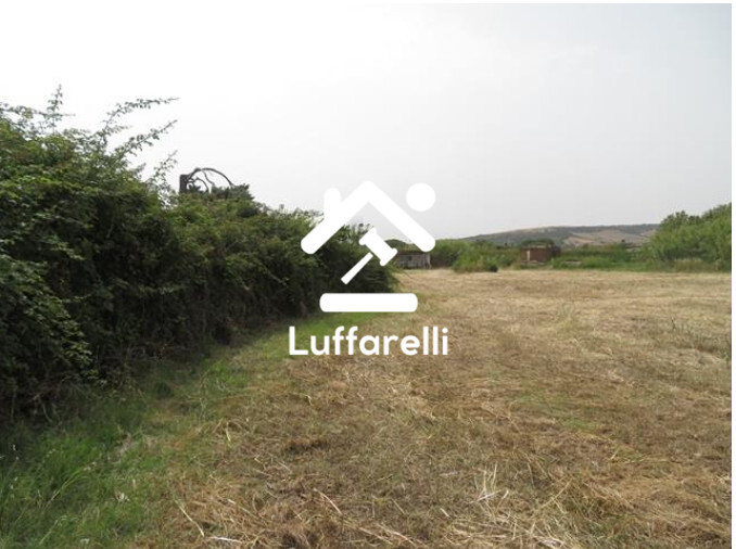 Immagine di TERRENI VIA AURELIA – SANTA MARINELLA (RM)