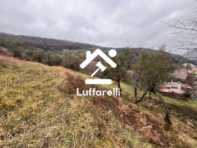 Immagine di TERRENO VIA STRADA ARCI – TIVOLI (RM)